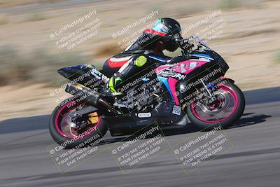 media/Oct-01-2023-SoCal Trackdays (Sun) [[4c570cc352]]/Turn 14 Side (1135am)/